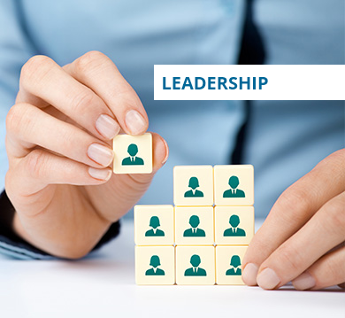 leadership cubes