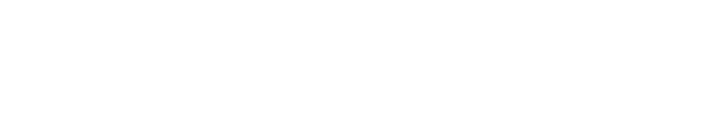 nvisionglobal_straight_white-01-800×138