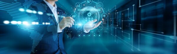 Business Analyst Connect To Global Network Enterprise Resource Planning