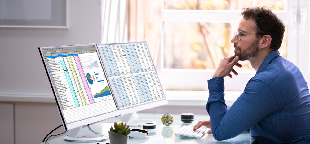 Analyst Employee Using Spreadsheet On Computer Screen