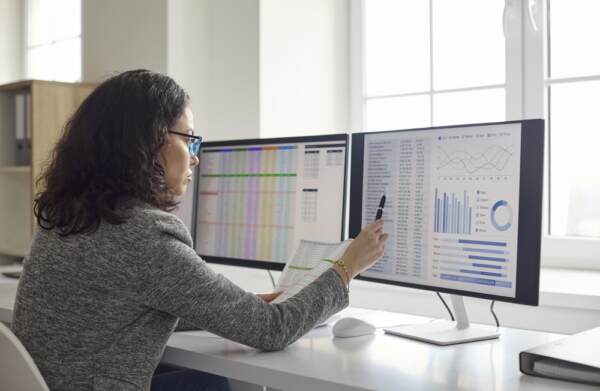Accountant Analyst At Office Monitors Audit Data